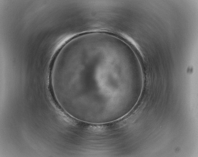 X0000091361415200708101410