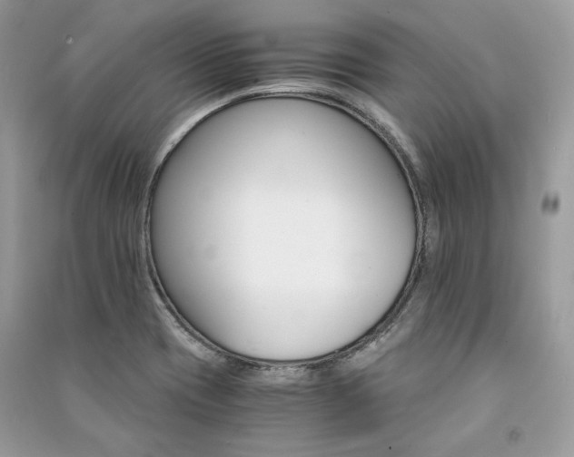 X0000091361417200708101410