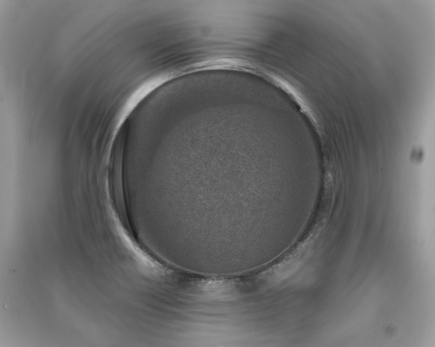 X0000091361418200708101410