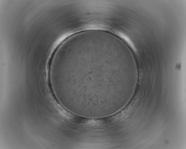 X0000091361419200708101410