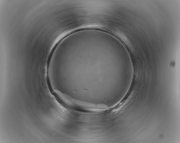 X0000091361420200708101410