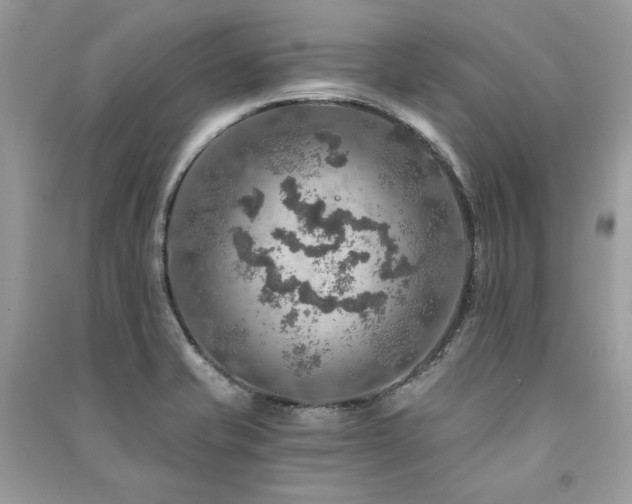 X0000091361421200708101410