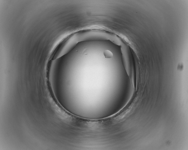 X0000091361422200708101410