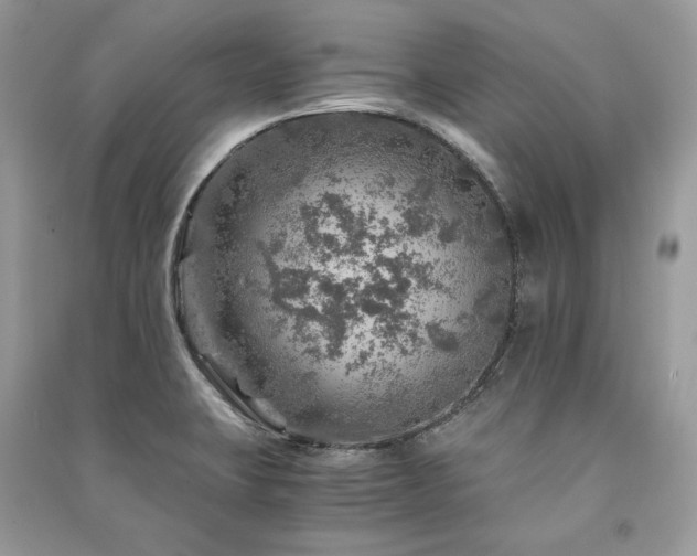 X0000091361423200708101410