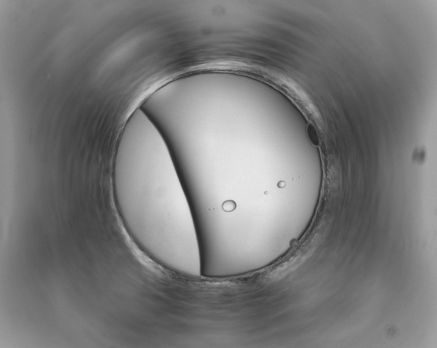 X0000091361425200708101410