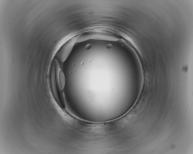 X0000091361426200708101410