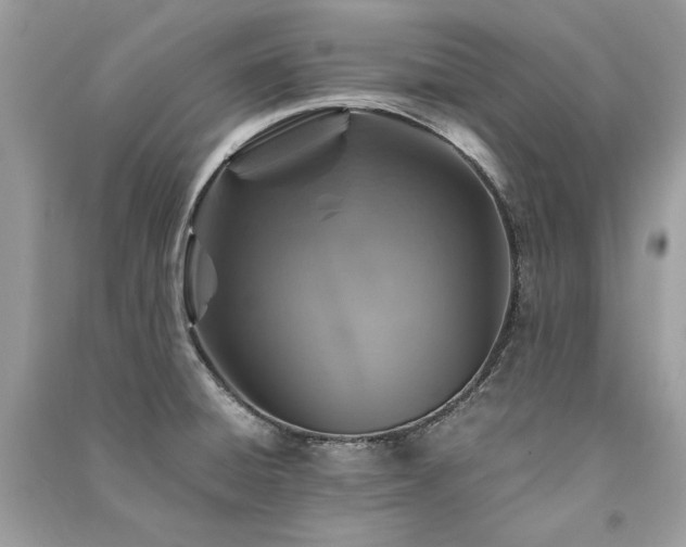 X0000091361428200708101410