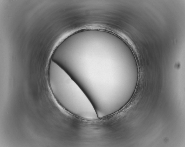 X0000091361429200708101410