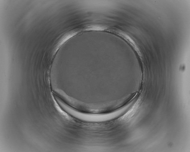 X0000091361433200708101410