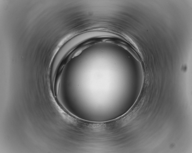 X0000091361434200708101410