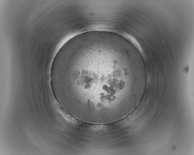 X0000091361435200708101410