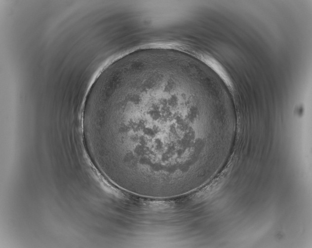 X0000091361436200708101410