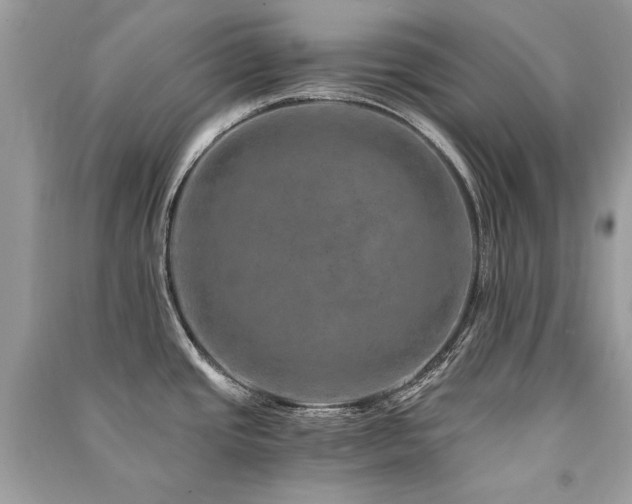 X0000091361437200708101410