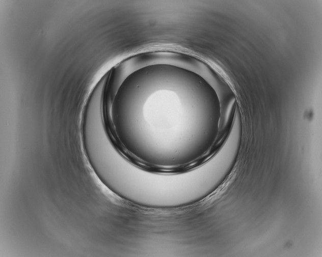 X0000091361438200708101410