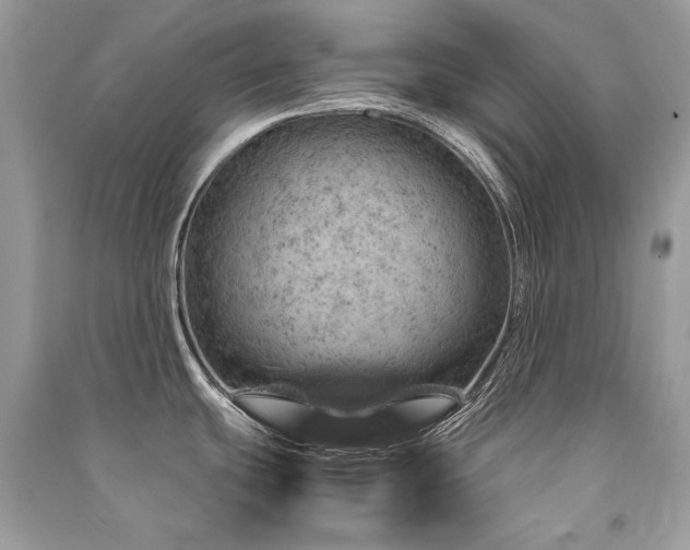 X0000091361439200708101410