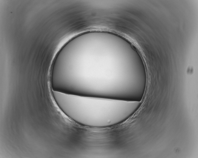 X0000091361440200708101410