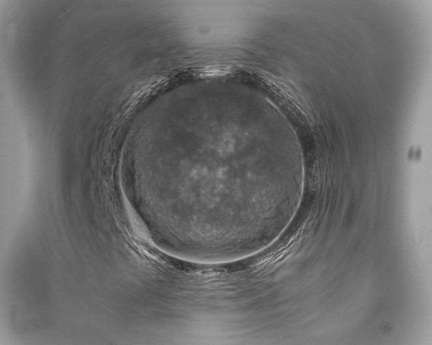 X0000091361441200708101410