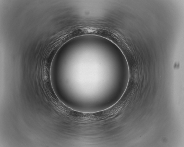 X0000091361442200708101410