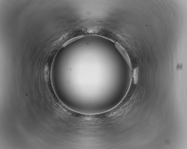 X0000091361443200708101410