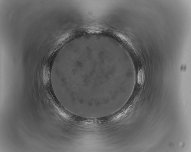 X0000091361444200708101410