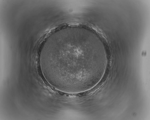 X0000091361445200708101410