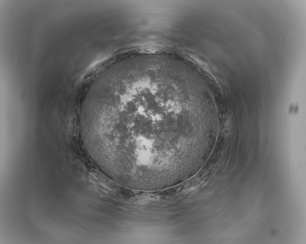 X0000091361446200708101410