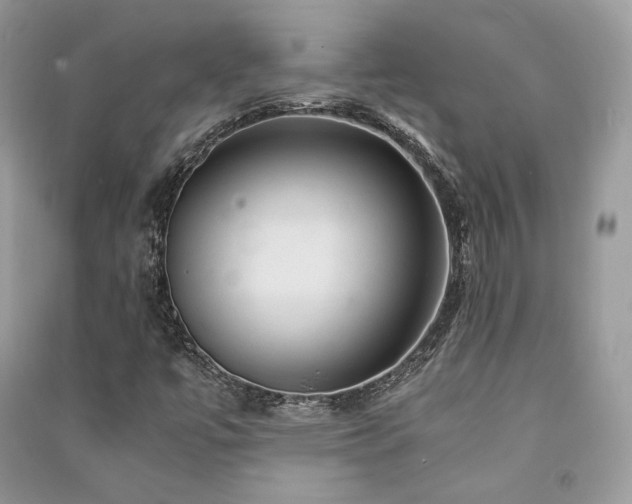 X0000091361447200708101410