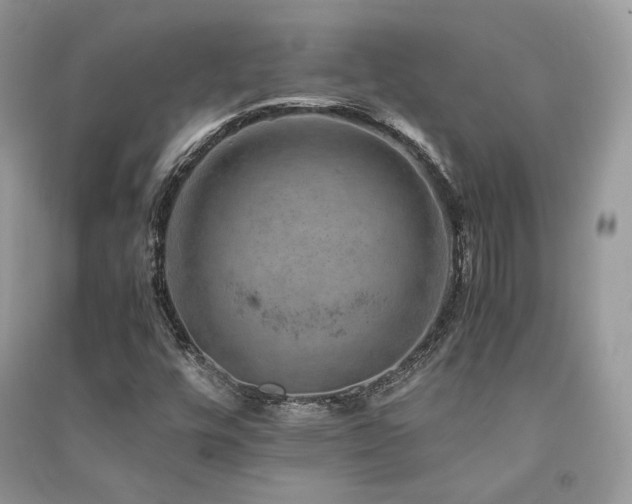 X0000091361448200708101410