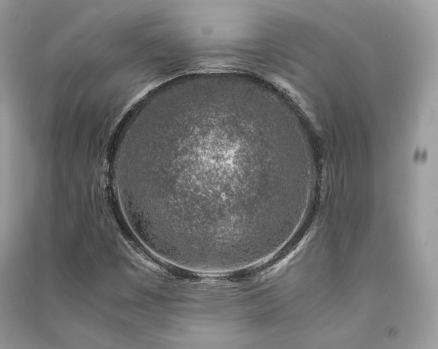 X0000091361449200708101410