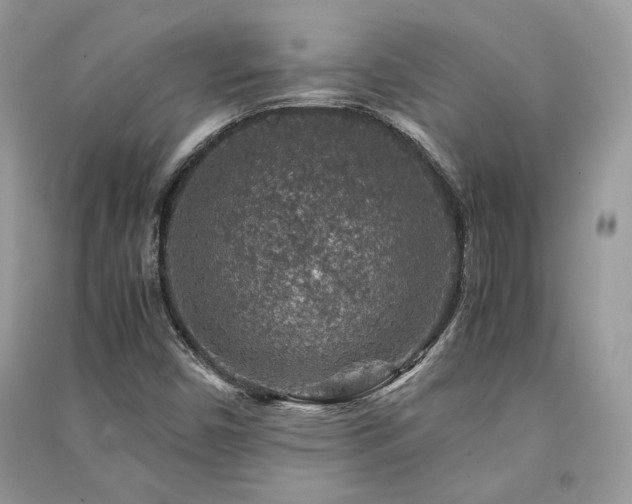 X0000091361450200708101410