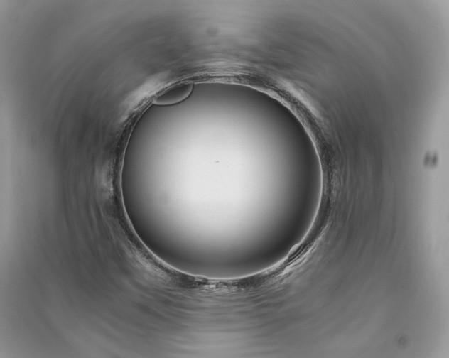 X0000091361451200708101410