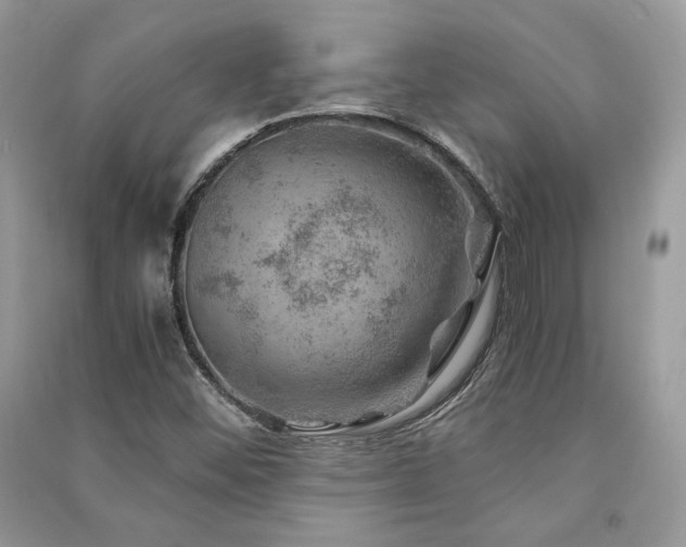 X0000091361452200708101410