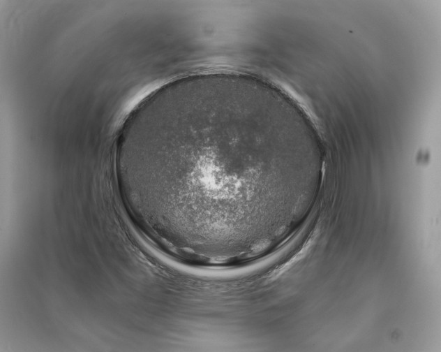 X0000091361453200708101410