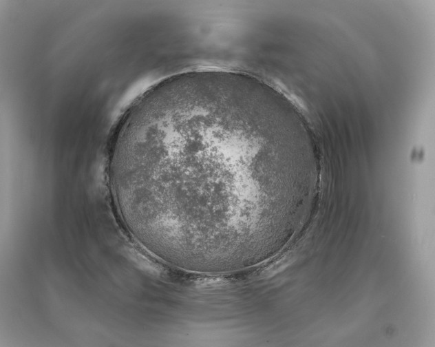 X0000091361454200708101410