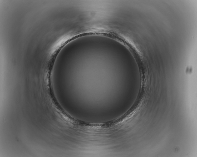X0000091361455200708101410