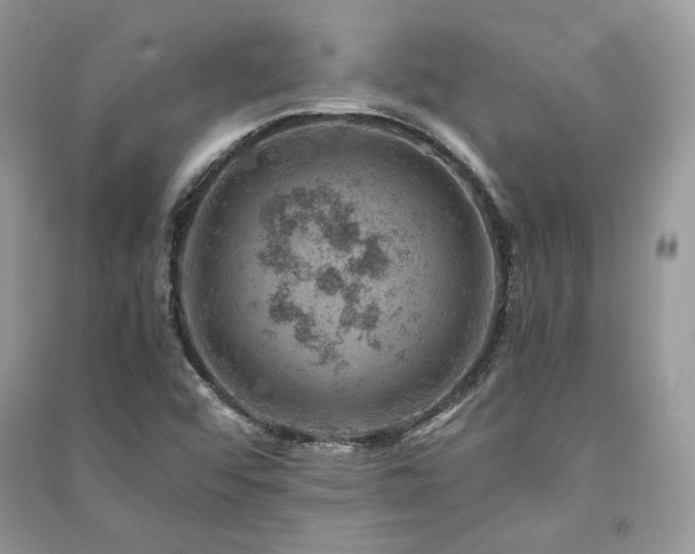 X0000091361456200708101410