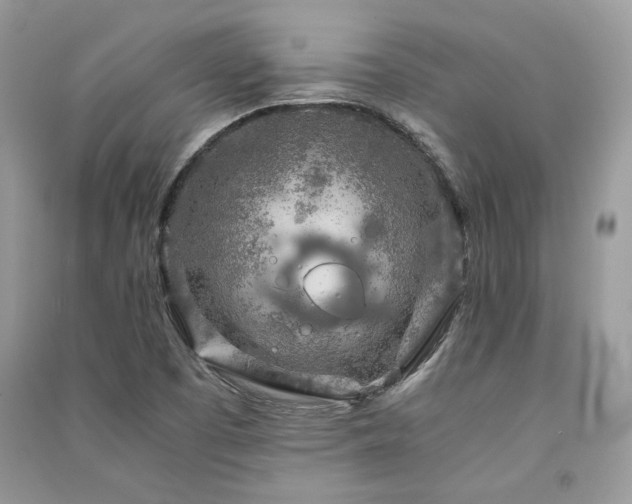 X0000091361457200708101410