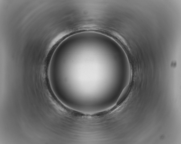 X0000091361458200708101409