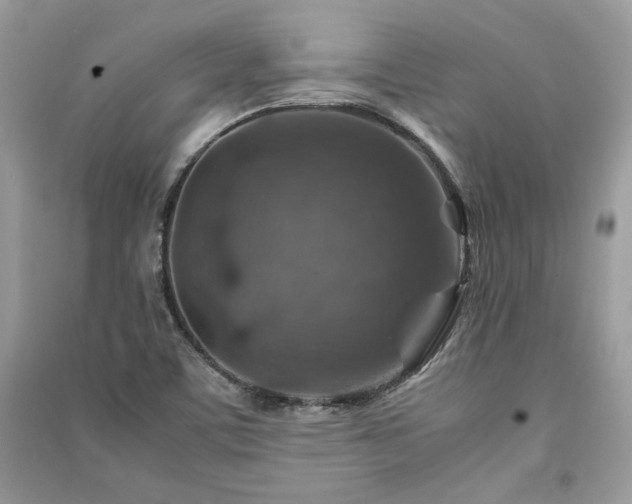 X0000091361459200708101409