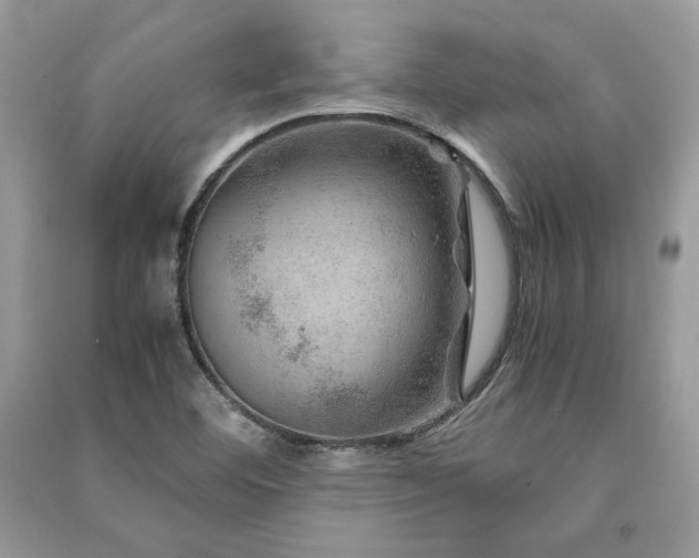 X0000091361460200708101409