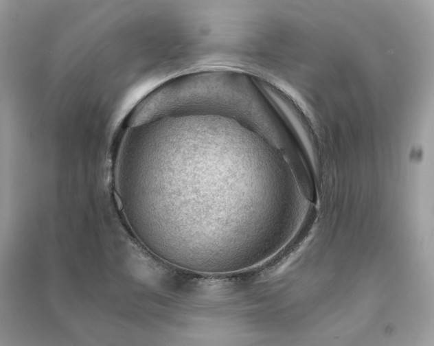 X0000091361461200708101409