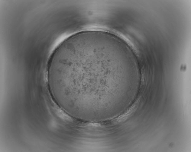 X0000091361462200708101409