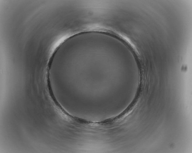 X0000091361463200708101409