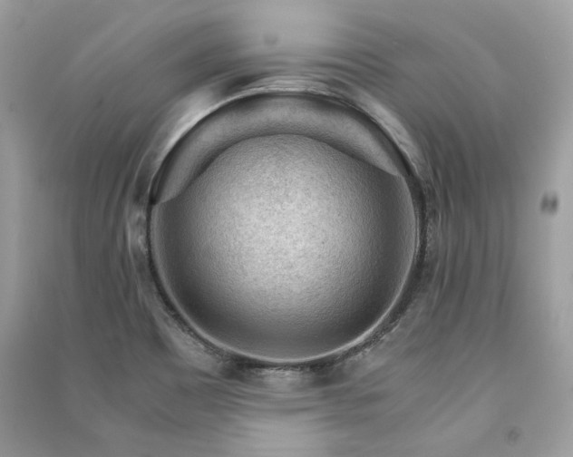 X0000091361465200708101409