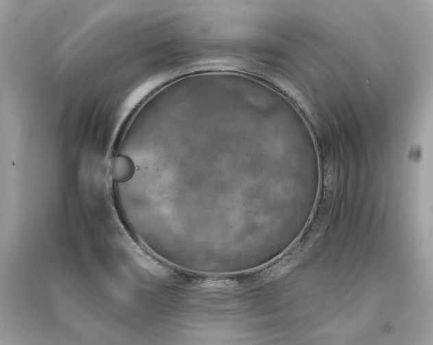 X0000091361466200708101409
