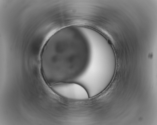 X0000091361467200708101409