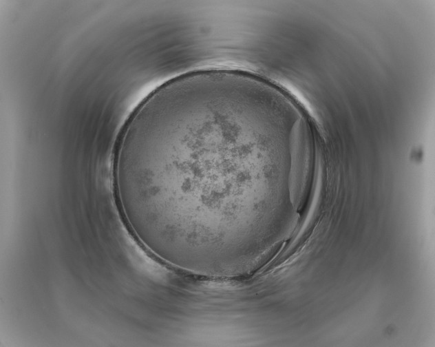 X0000091361468200708101409