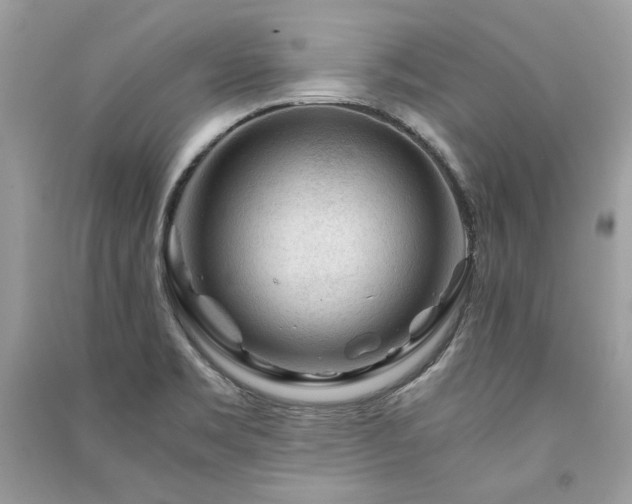 X0000091361469200708101409