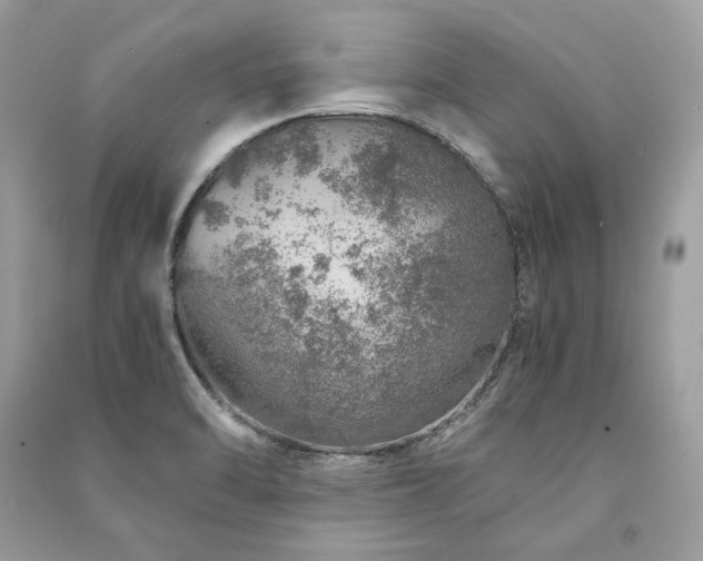 X0000091361470200708101409