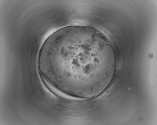 X0000091361471200708101409